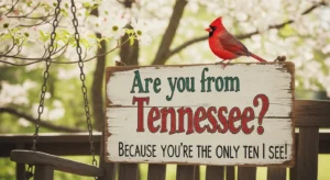 are you from tennessee pick up lines